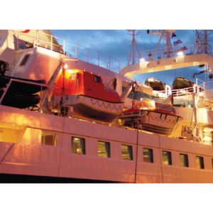 PLATFORM DAVITS
